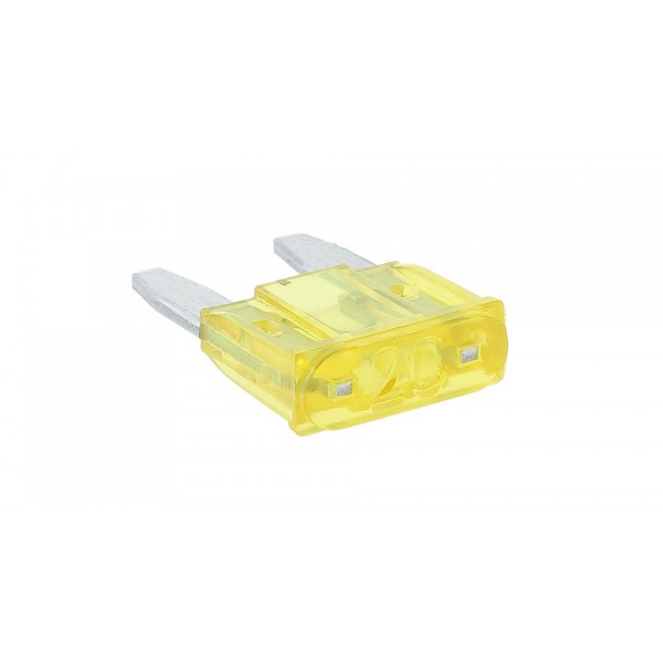 20A Automotive Car Blade Fuse (Small Size, 10-Pack)